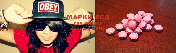 молекула духа Заволжье