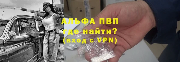 молекула духа Заволжье
