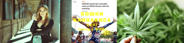 PSILOCYBIN Заводоуковск