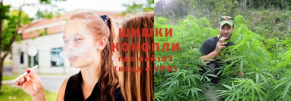 дживик Заволжск