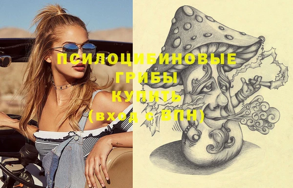 дживик Заволжск