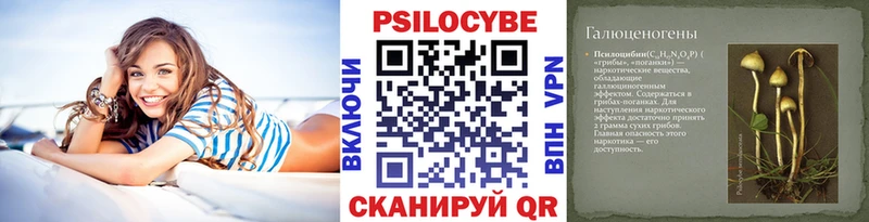 цена наркотик  kraken tor  Галлюциногенные грибы прущие грибы  Зеленодольск 
