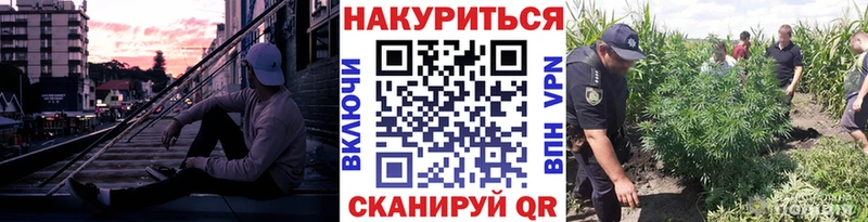 купить  цена  Зеленодольск  KRAKEN маркетплейс  МАРИХУАНА Amnesia 